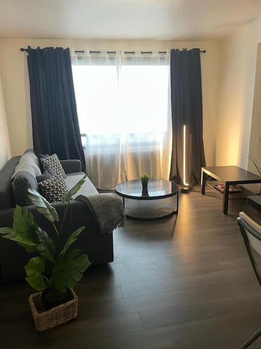 Le Cocon Des Horizons Apartment Rennes Luaran gambar